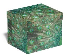Peacock box